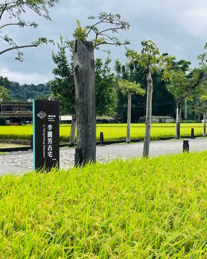 桃園大溪-花彩節🌼李騰芳古厝-月眉落雨松_2934762
