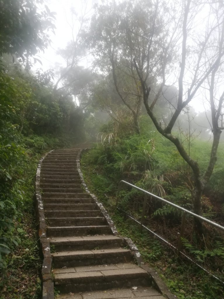 小百岳013號～南港山，幾乎整路爬樓梯，不怕樓梯者限定_1348539