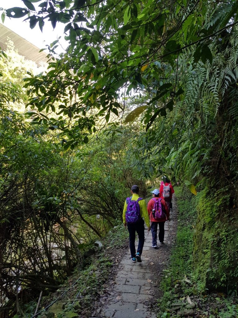 2020.03.15 石碇-烏塗溪步道_880296