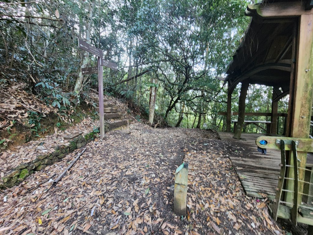 20250216水社大山潭南線_2746112