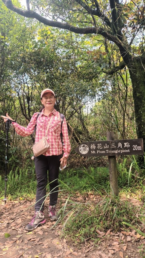 【臺北大縱走 4】2-1 風櫃嘴→雙溪溝古道→五指山古道→大崙頭山北面步道→碧山路_2113337
