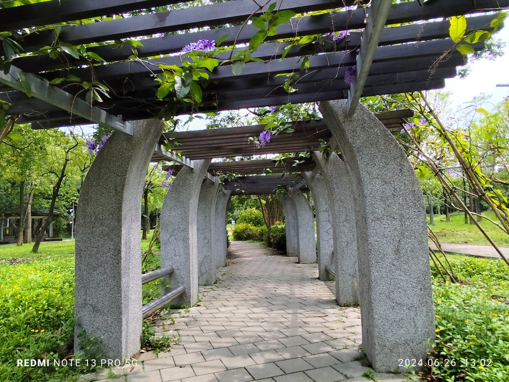 大安森林公園【走路趣尋寶】【臺北健走趣】_2536202