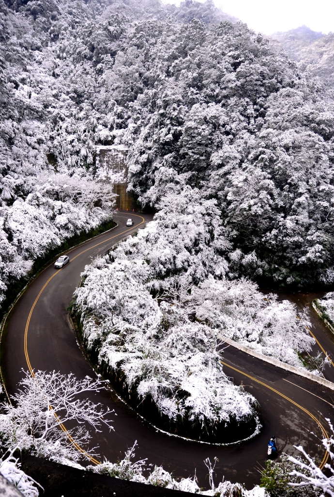 童話世界..東眼山森林遊樂區_28998