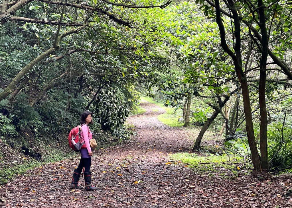 陽明山鹿角坑生態保護區 20240413_2481666