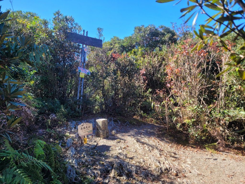 20231118 南插天山 魯培山 山毛櫸秘境_2355621