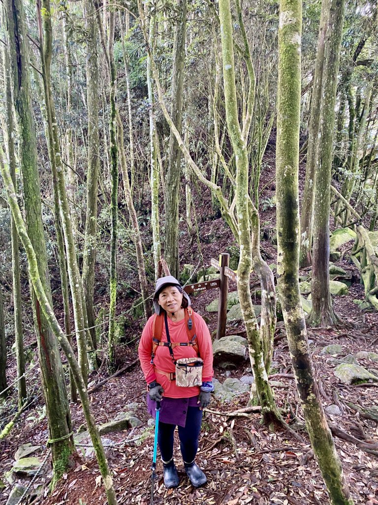橫嶺山-沙蓮山-笛吹山連走    2022/7/5_1754689