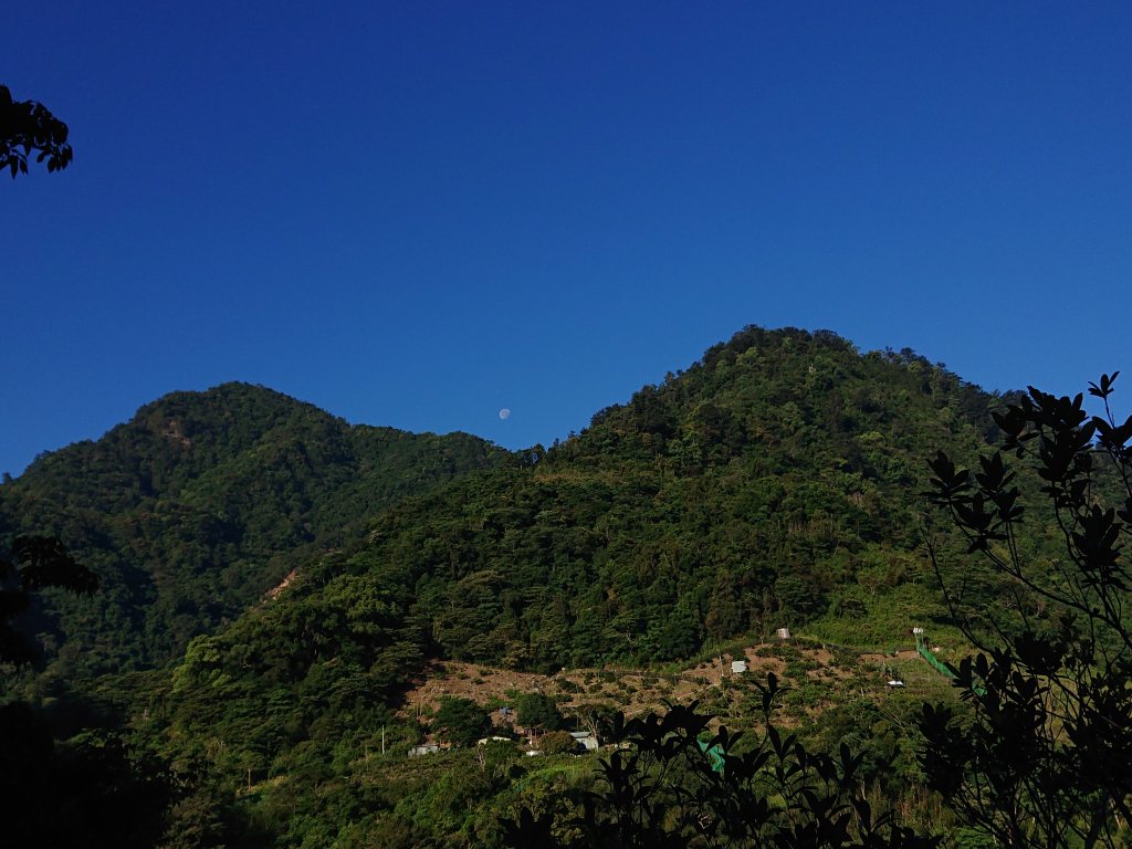 唐麻丹山_2790143