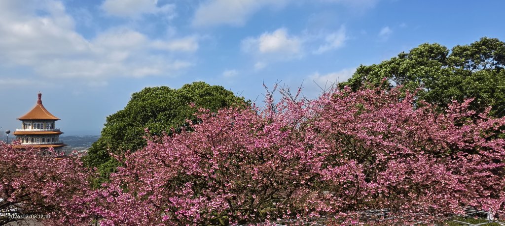 天元宮了嗎？2/3_2992695