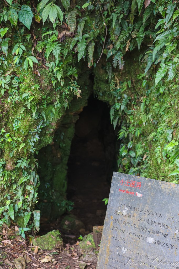 [新北]獅仔頭山_2454601