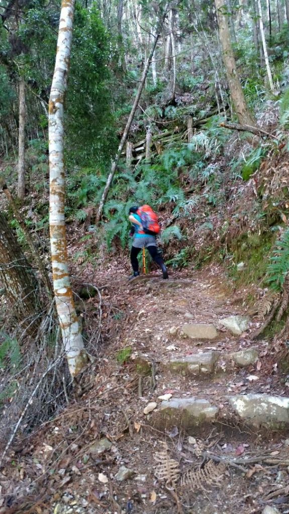 谷關七雄~馬崙山_292093