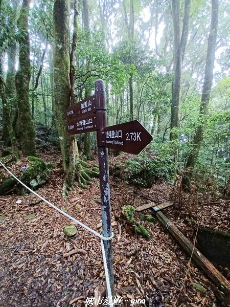 【苗栗南庄】裊裊雲霧台版富士山。 小百岳集起來。編號 34小百岳~加里山。 【台灣小百岳】 我玩登了_1903030