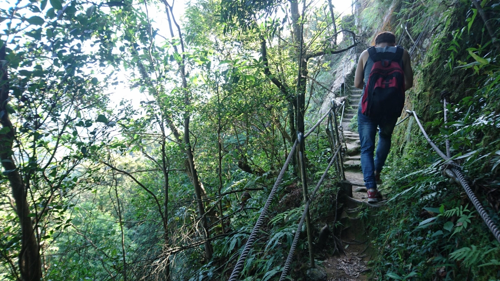 孝子山 ．慈母峰．普陀山．中央尖_52570