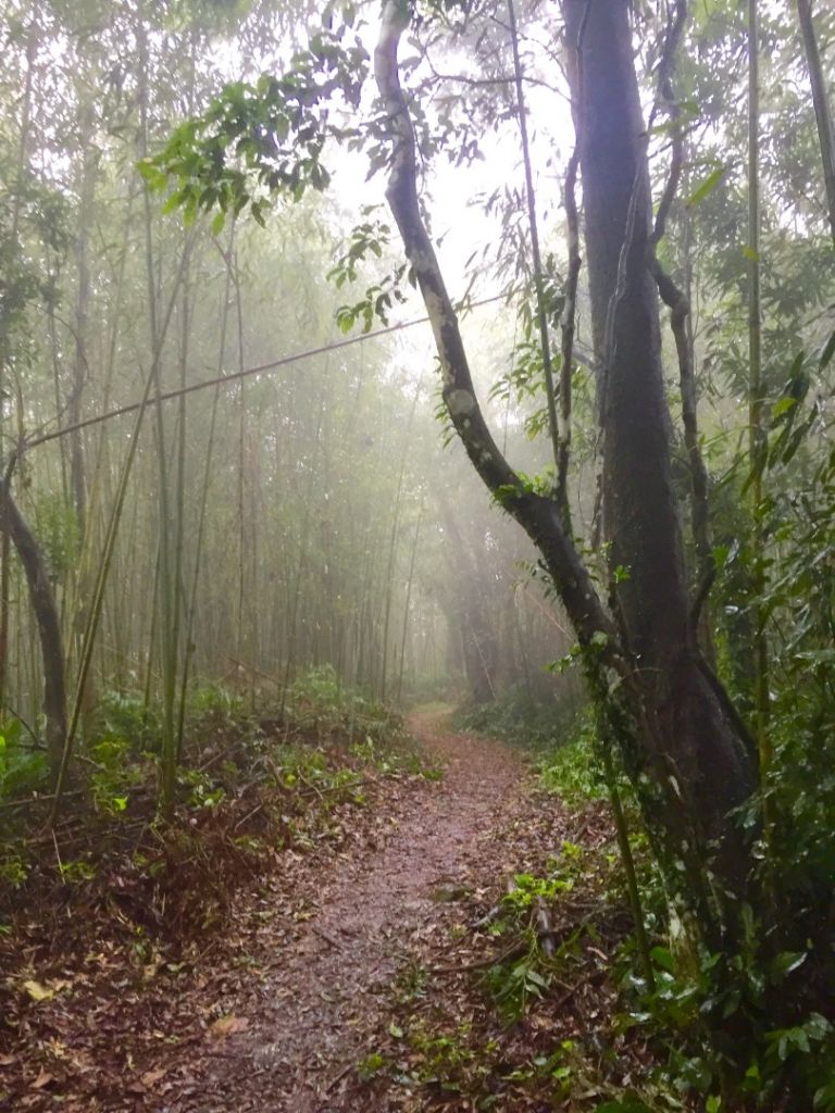 煙雨濛濛關刀山出關古道_208880