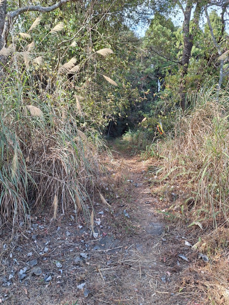 盡尾山20251225_2971983