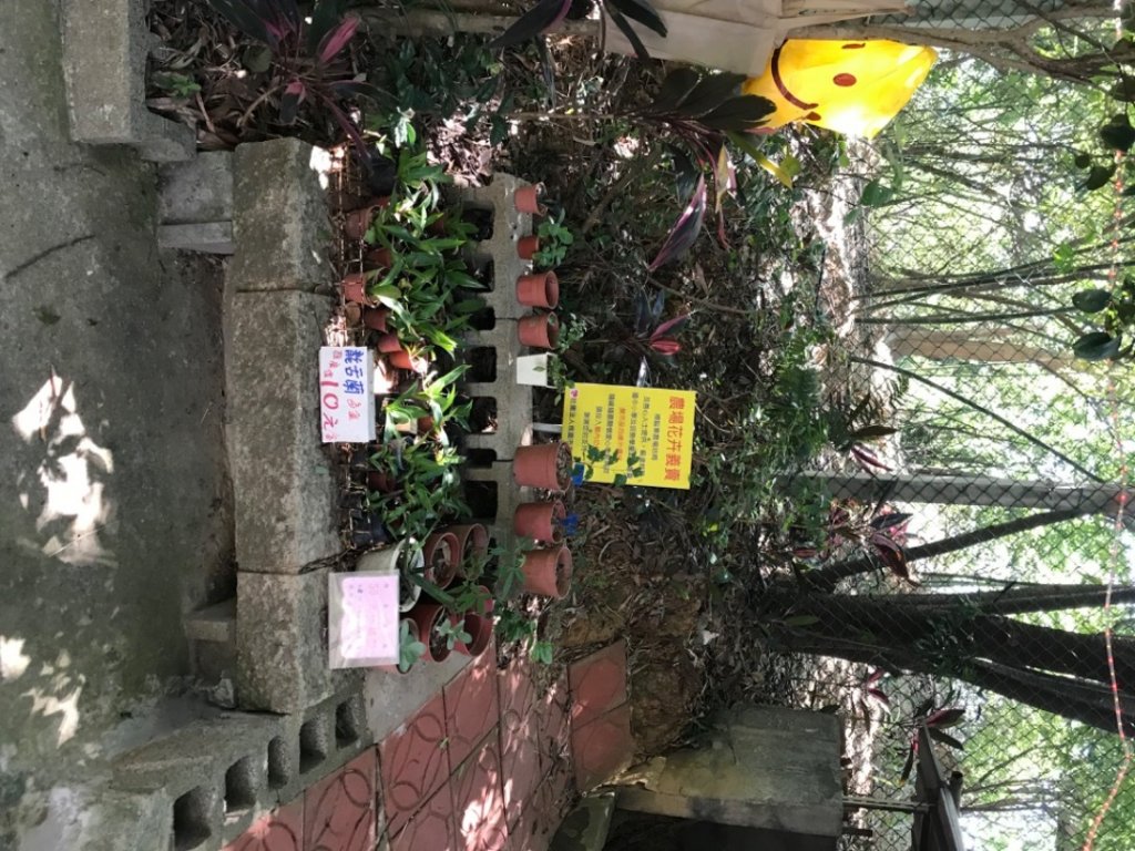 2023新北市新莊區青年公園步道、樟腦寮步道上林口A7_2209717