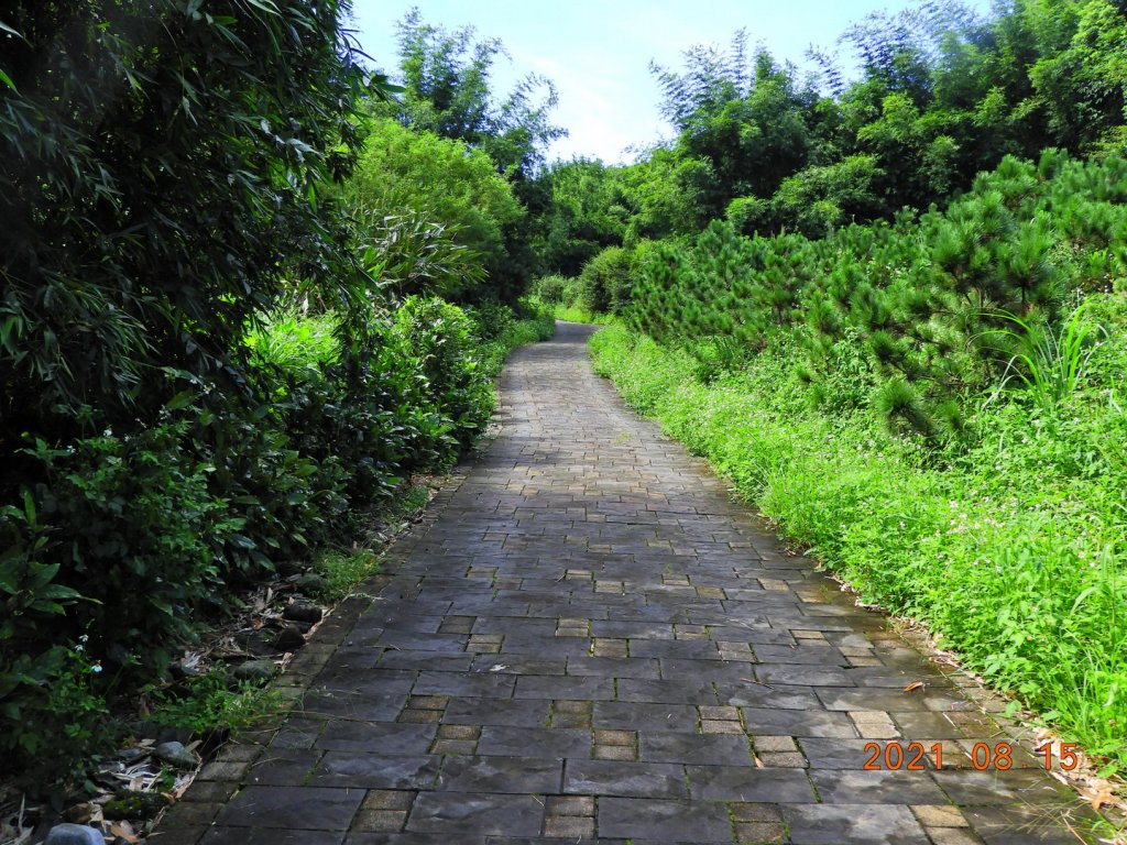 新北 石門 茶山步道、金寶山_1436897