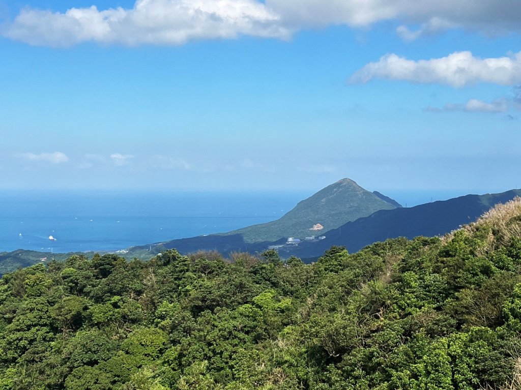 愛在秋芒紛飛時...五分山_2353733