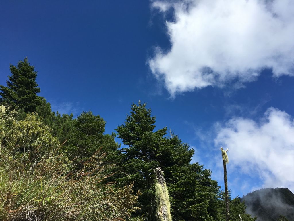 羊頭山一日單攻_175293