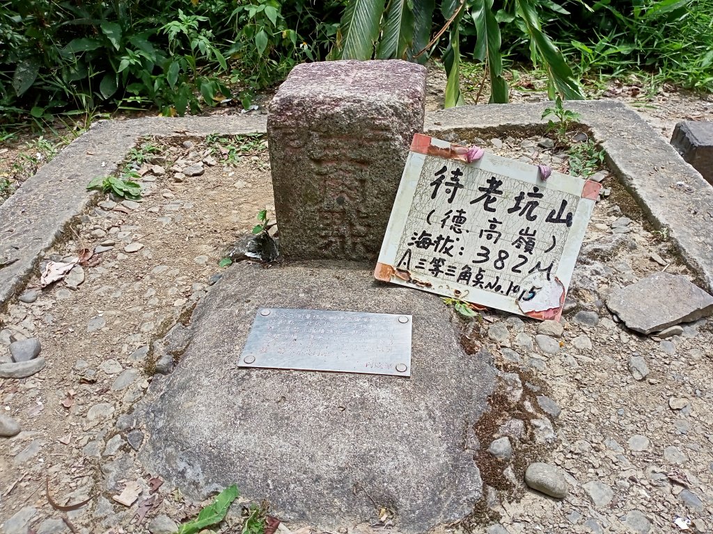 銀河洞瀑布→銀河洞越嶺步道→樟湖步道→待老坑山→杏花林→樟湖山→樟山寺→飛龍步道→政大→動物園門口_1764700