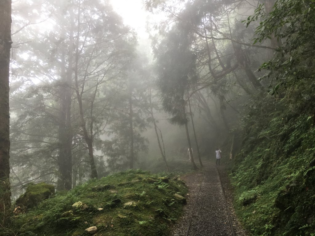 20160730-31_太平山之旅_873138