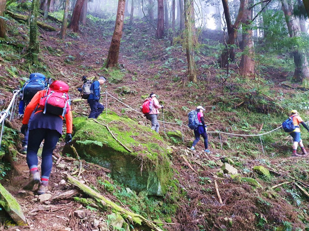 【風華再現】復刻救國團經典點路線_1510143