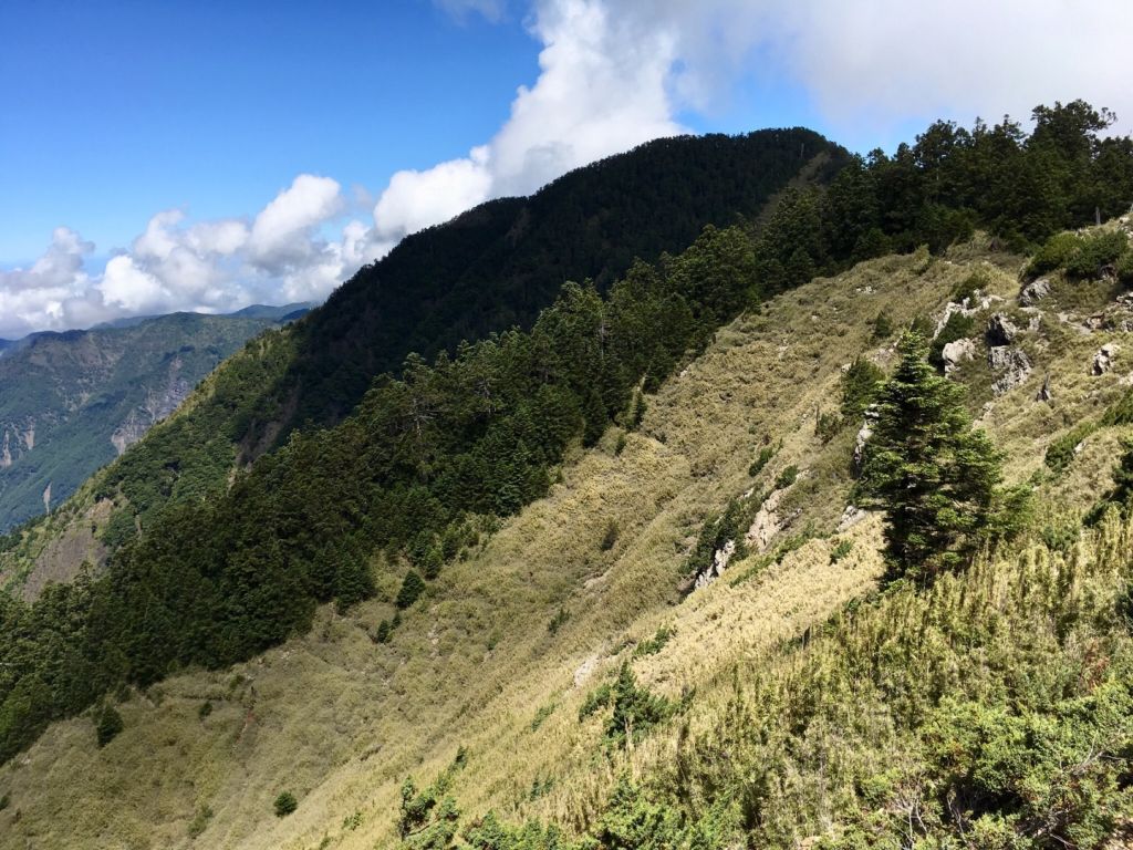 玉山西峰、山神廟一日遊_356684