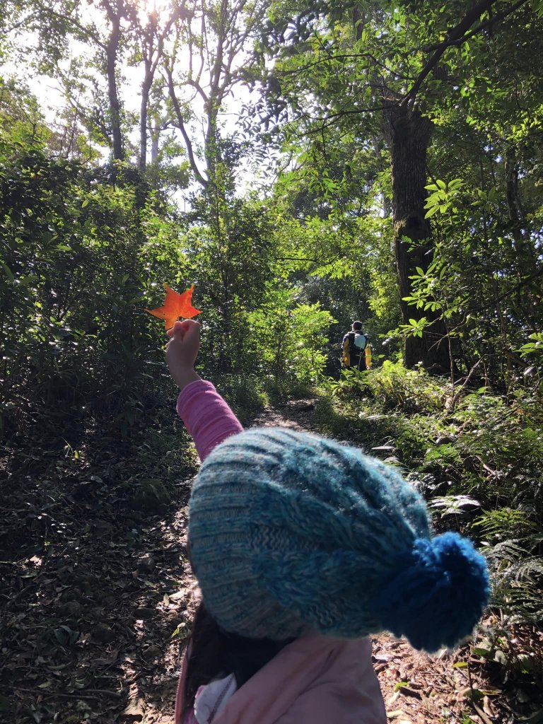 20221218苗栗鳴鳳古道_2113501