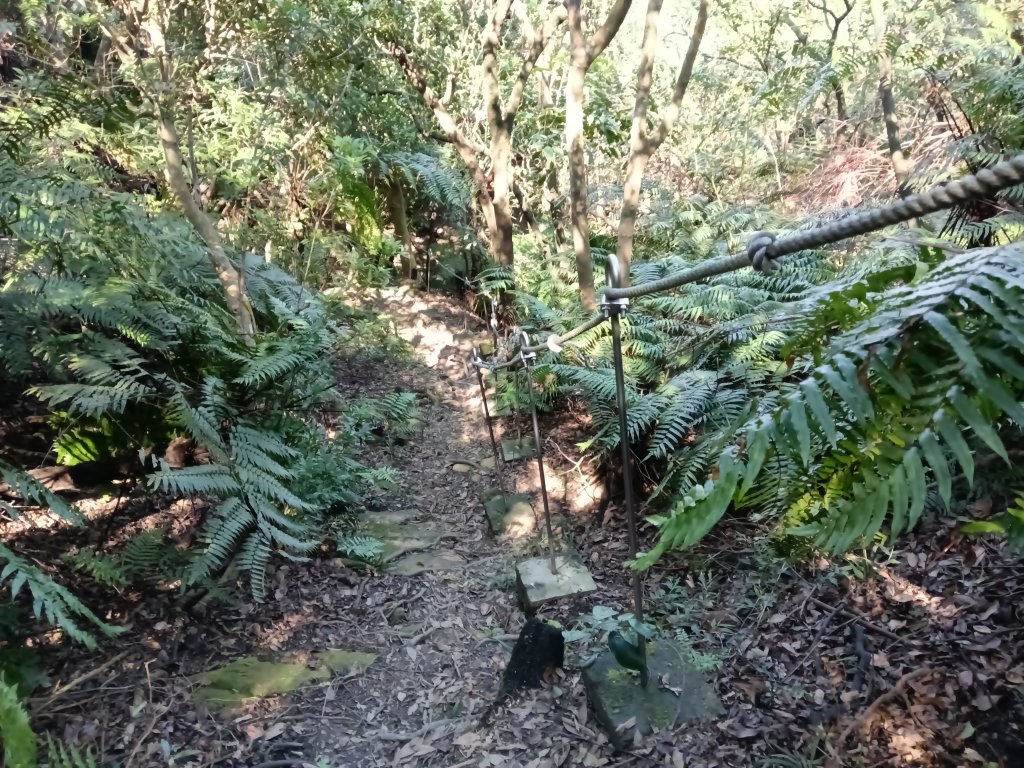 基隆市曾子寮山+大德山+摩天嶺+九華山+龍鳳山+火號山+球子山燈塔+白米甕砲台+白米甕尖+基隆燈塔_3006588