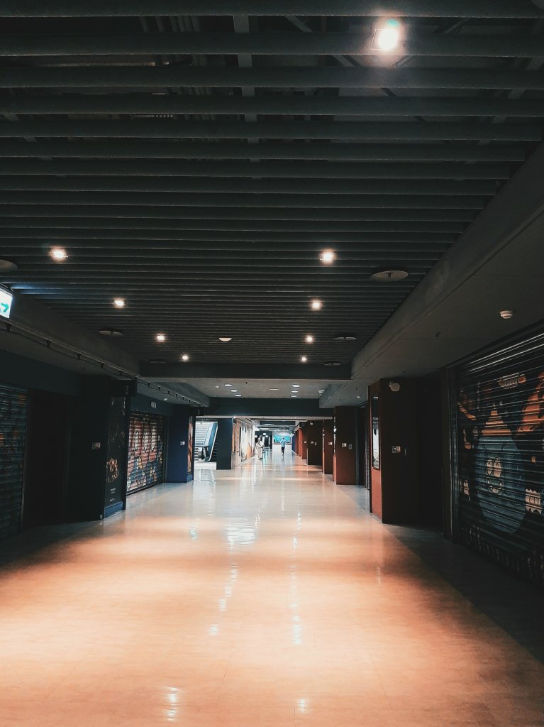 臺北趴趴走｜文山森林、台大、林森、淡水、大安森林、象山_2238341