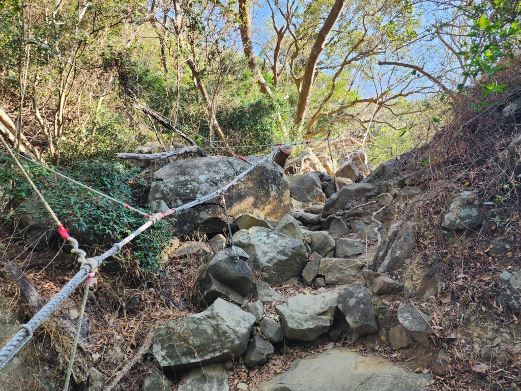 小百岳No.80⛰里龍山_2776320