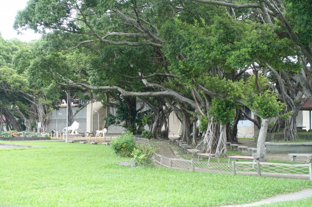 龍山河濱公園．玉泉公園_1124270