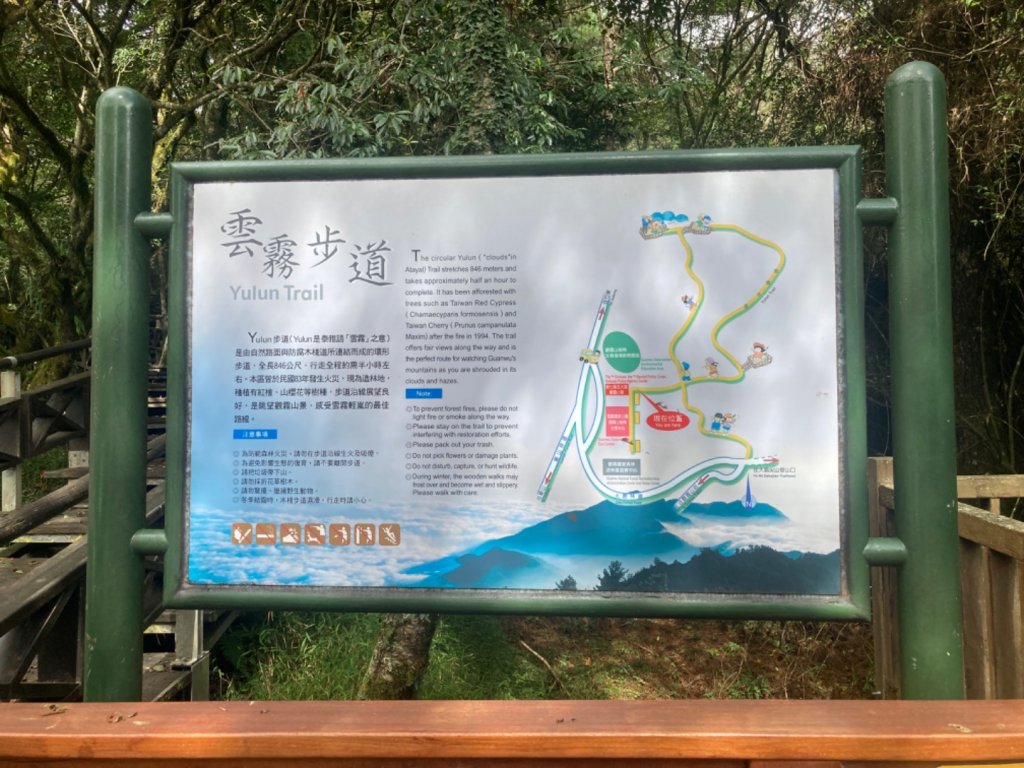 雲霧步道_2316057