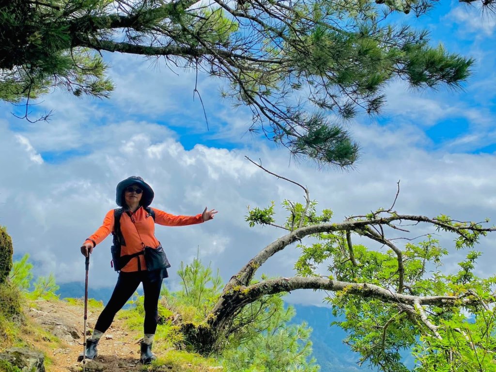 塔塔加黑森林_2668026