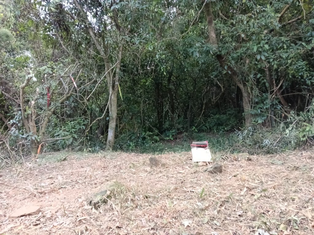 基隆市三層山+湳子大崙+淡基橫斷古道+面桶寮土地公_2982220