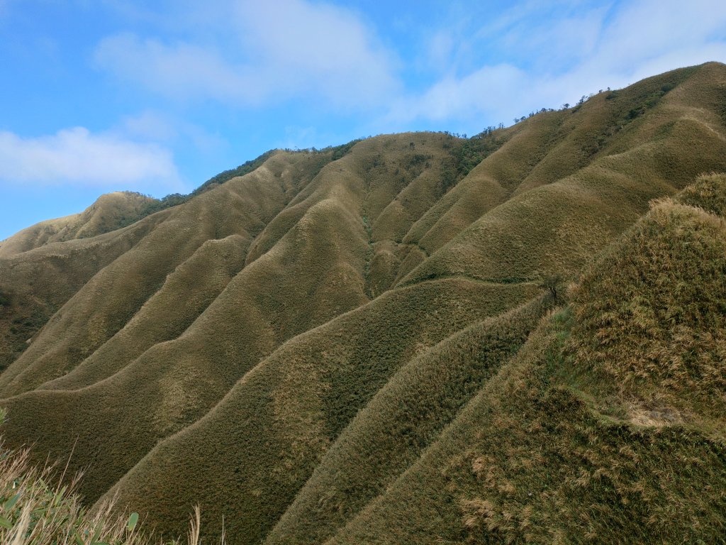 朝聖抹茶山封面圖