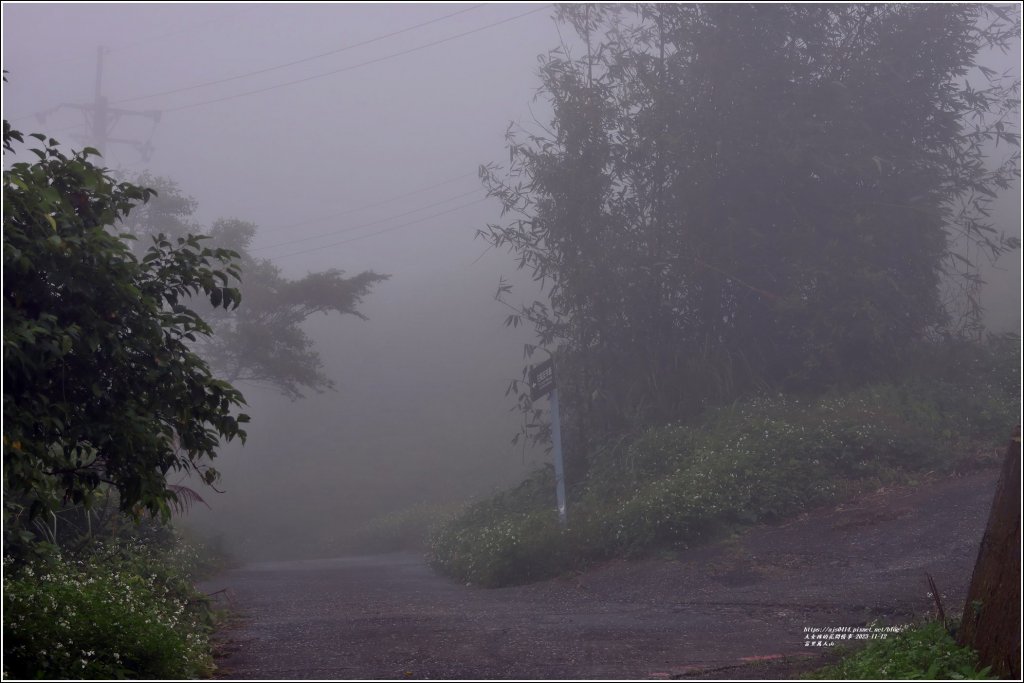 萬人山-2023年11月12日_2347813