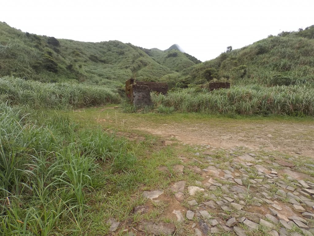 20200525樹梅坪、燦光寮、貂山古道_977038
