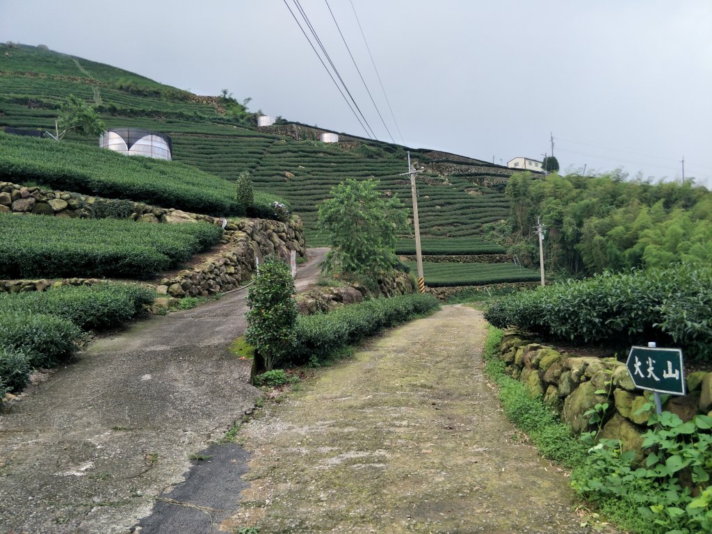 嘉義百大步道：桃荀古道與大尖山_1414702