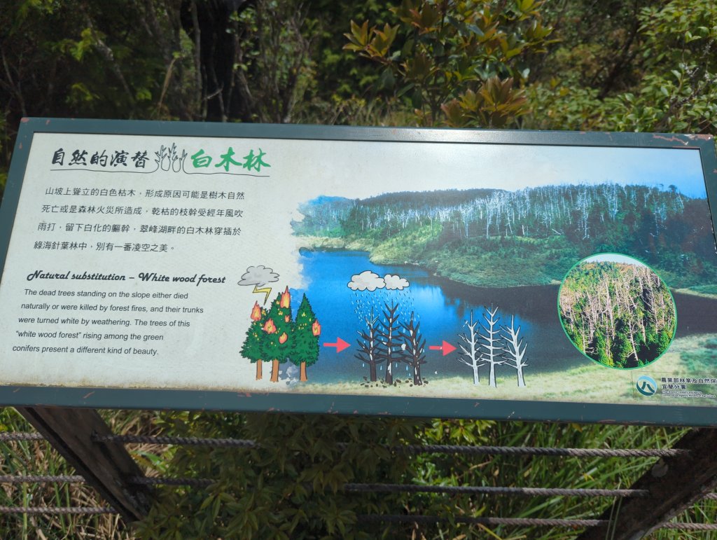 20424.06.22－翠峰湖步道_2532259