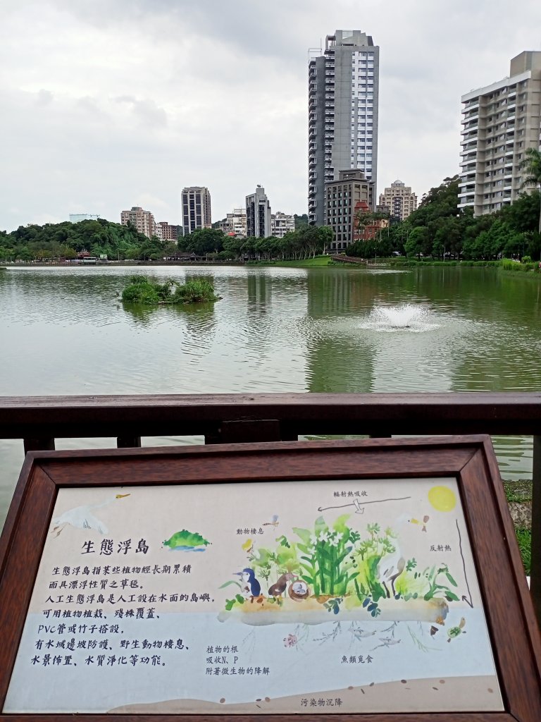 碧波蕩漾的碧湖公園環湖步道_1731931