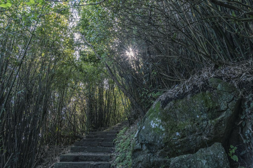 觀音山(北橫古道)_1542390