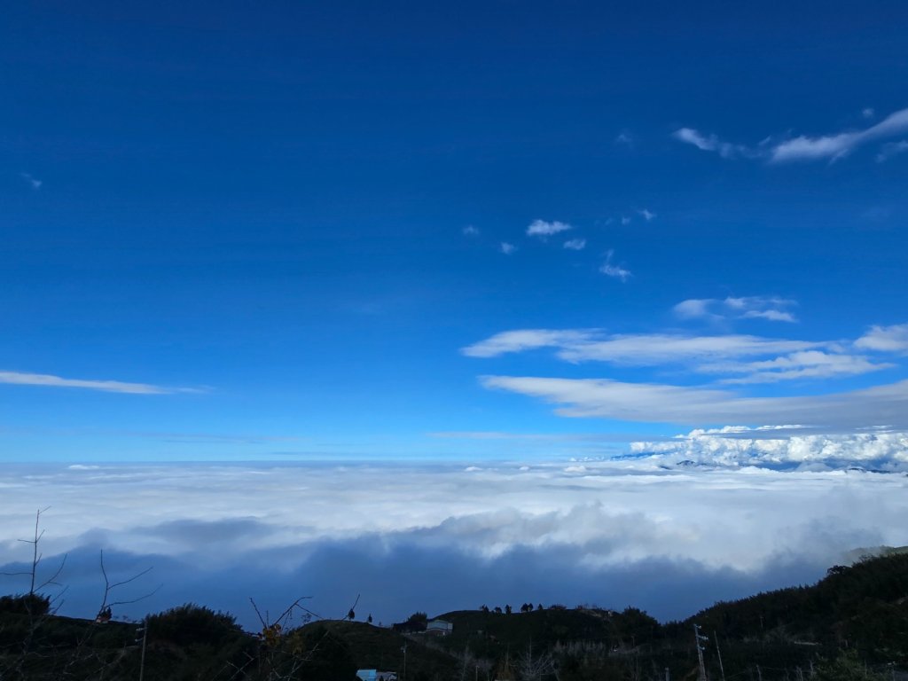 溪頭五連峰O繞（大崙頭／樟空倫／貓冬望／志騰／竹崙）_2652424