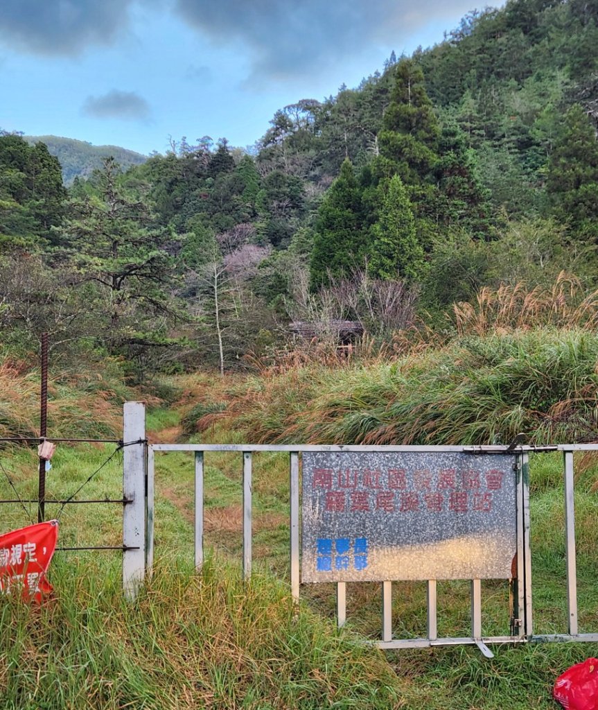 【中級山縱走】羅馬縱走，走進神木的夢幻童話森林世界_2943162