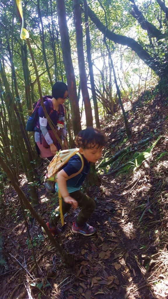 阿興阿賢新山夢湖步道_616493