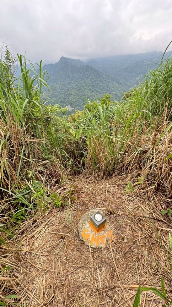 烏窟子山、獵貍尖山、黃櫸皮寮山、翡翠之眼O走_2809871