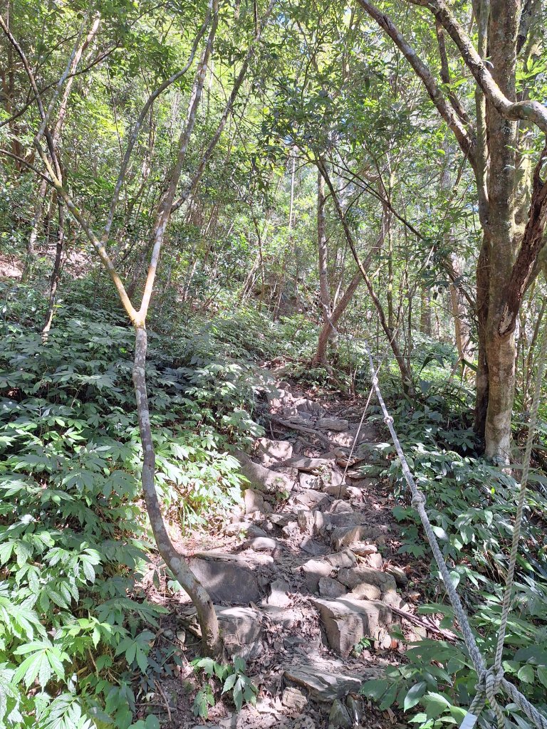 日湯真山20260104_2978573