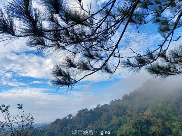 【台中北屯】第一次遇上大坑步道群起霧。 大坑三號步道_2695139