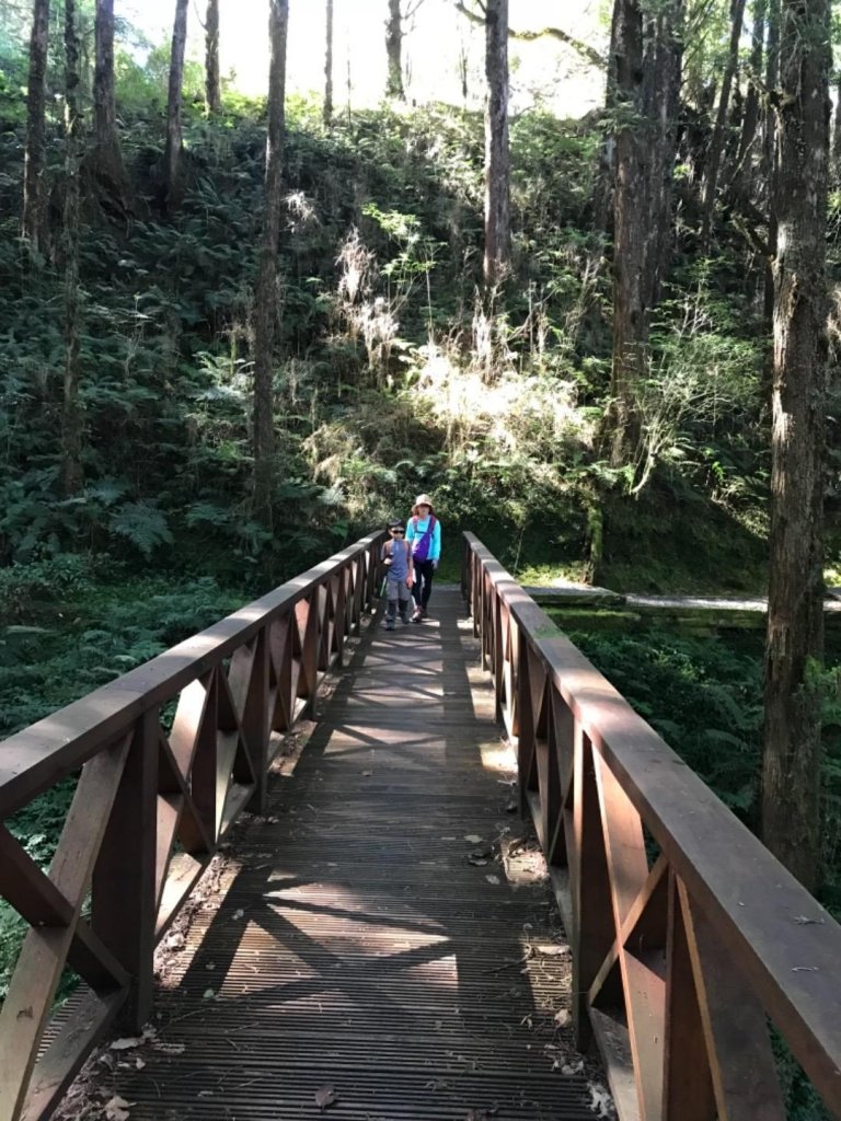 阿里山雙峰大塔山對高岳連走_451417