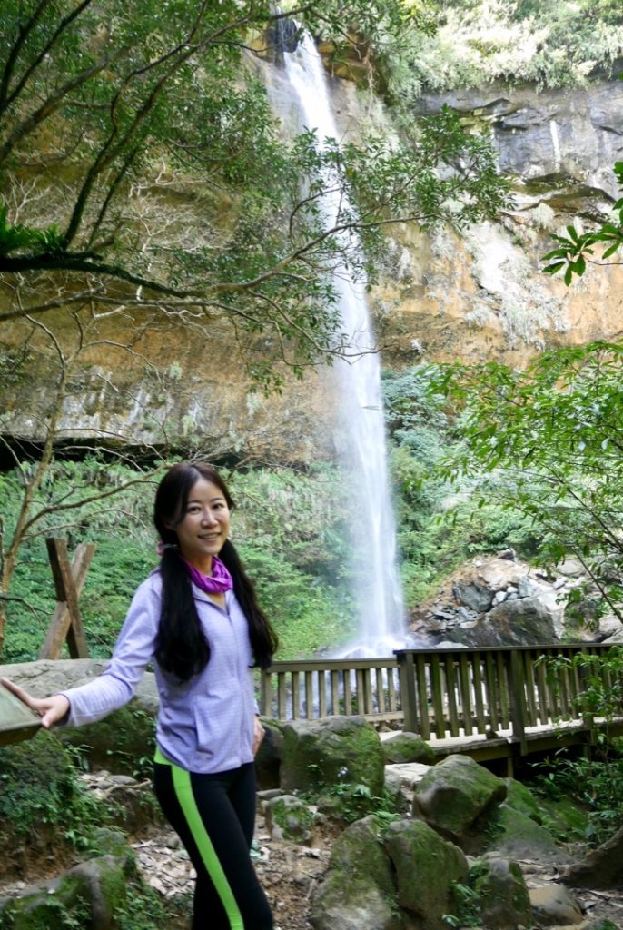 瀑布 樹陰 軌道與貓_1277514