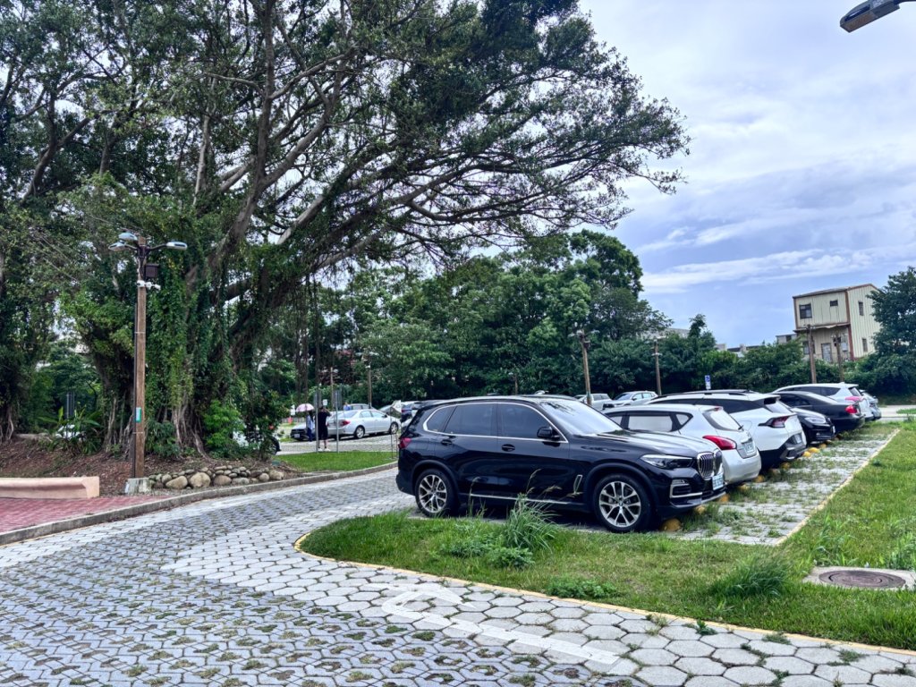 20250720大湳森林公園封面圖